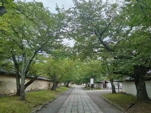 醍醐寺(京都府)