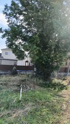 金刀比羅神社の景色