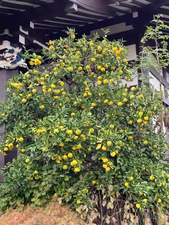 本願寺(東京都)