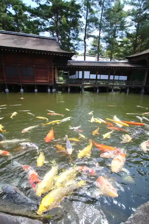 身曾岐神社(山梨県)