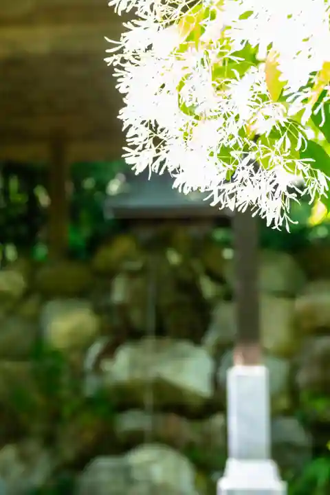 白山比咩神社(石川県)
