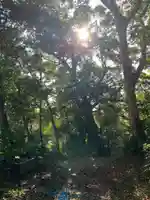 大山大神(千葉県)