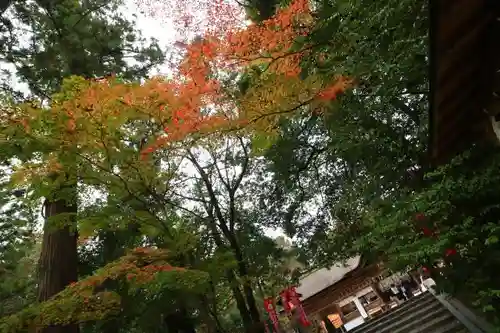 大崎八幡宮の自然