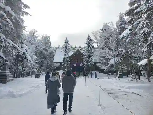 上川神社の初詣