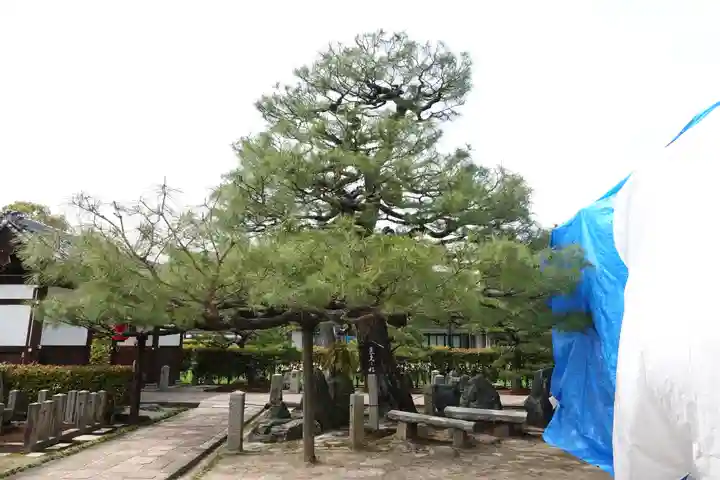 明星院(広島県)