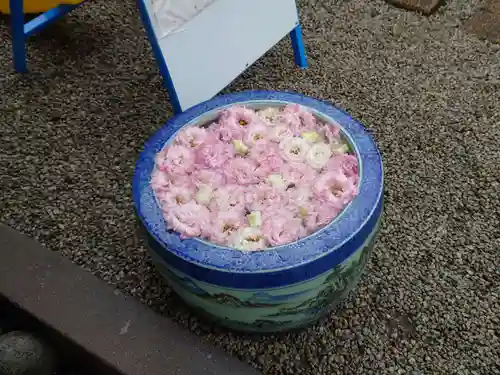 上尾御嶽神社の手水舎