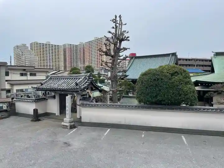 観音寺の{uncategorized: "未分類", other: "その他", undefined: "問題あり", building: "その他建物", grave: "お墓", sacred_gate: "鳥居", guardian: "狛犬", statue: "像", buddha: "仏像", history: "歴史", nature: "自然", garden: "庭園", animal: "動物", pagoda: "塔", temizu: "手水舎", mountain_gate: "山門・神門", sanctuary: "本殿・本堂", subordinate: "末社・摂社", art: "芸術", scenery: "景色", jizo: "地蔵", ema: "絵馬", goshuin: "御朱印", omikuji: "おみくじ", items: "授与品その他", amulet: "お守り", goshuincho: "御朱印帳", eats: "食事", festival: "お祭り", votive_dance: "神楽", shichigosan: "七五三参", wedding: "結婚式", experience: "体験その他", initially: "初詣", around: "周辺", anti_infection: "感染症対策"}
