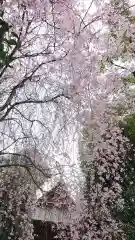 冠稲荷神社(群馬県)