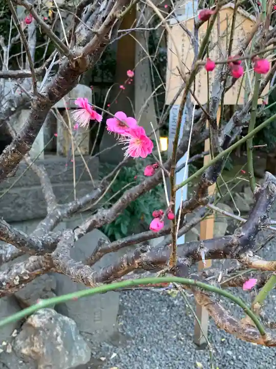 小野照崎神社(東京都)