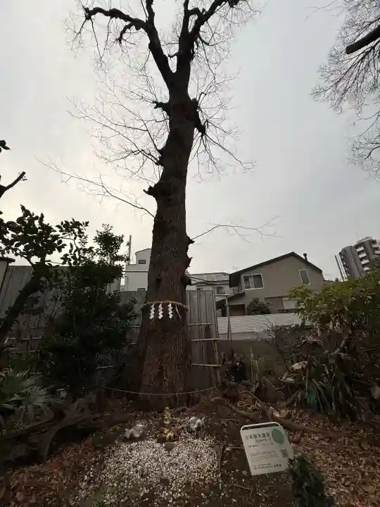 戸越八幡神社の{uncategorized: "未分類", other: "その他", undefined: "問題あり", building: "その他建物", grave: "お墓", sacred_gate: "鳥居", guardian: "狛犬", statue: "像", buddha: "仏像", history: "歴史", nature: "自然", garden: "庭園", animal: "動物", pagoda: "塔", temizu: "手水舎", mountain_gate: "山門・神門", sanctuary: "本殿・本堂", subordinate: "末社・摂社", art: "芸術", scenery: "景色", jizo: "地蔵", ema: "絵馬", goshuin: "御朱印", omikuji: "おみくじ", items: "授与品その他", amulet: "お守り", goshuincho: "御朱印帳", eats: "食事", festival: "お祭り", votive_dance: "神楽", shichigosan: "七五三参", wedding: "結婚式", experience: "体験その他", initially: "初詣", around: "周辺", anti_infection: "感染症対策"}