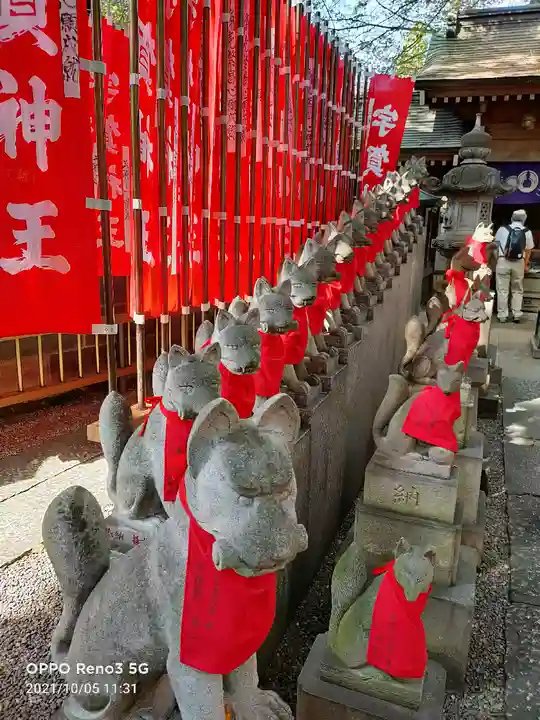 豊川稲荷東京別院の狛犬