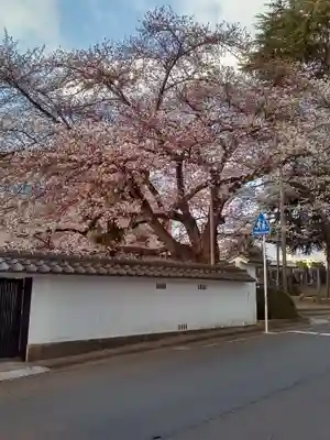 松音寺(宮城県)
