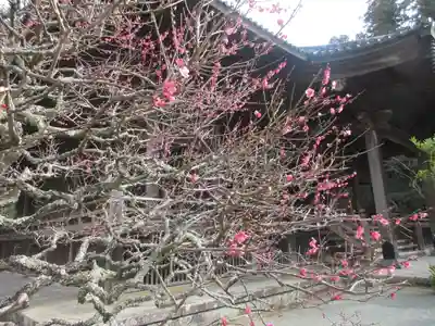 妙本寺のその他建物