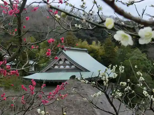 黄梅院（円覚寺塔頭）の景色