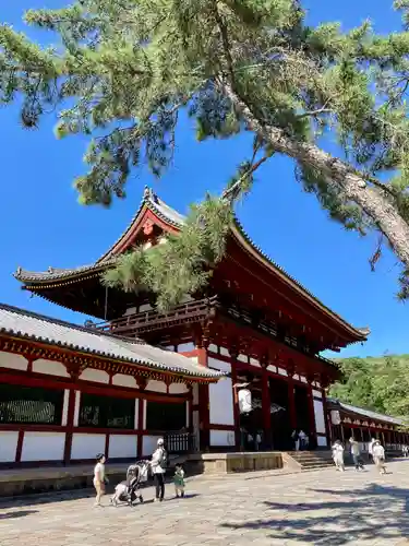 東大寺(奈良県)