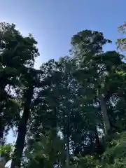 村山浅間神社(静岡県)