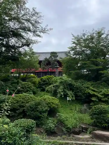 不忍池大黒天堂の庭園