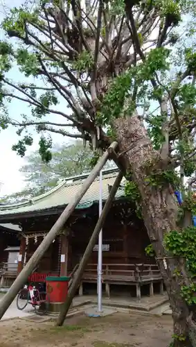 岩淵八雲神社の本殿・本堂