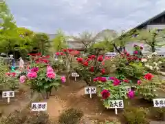 西新井大師総持寺(東京都)