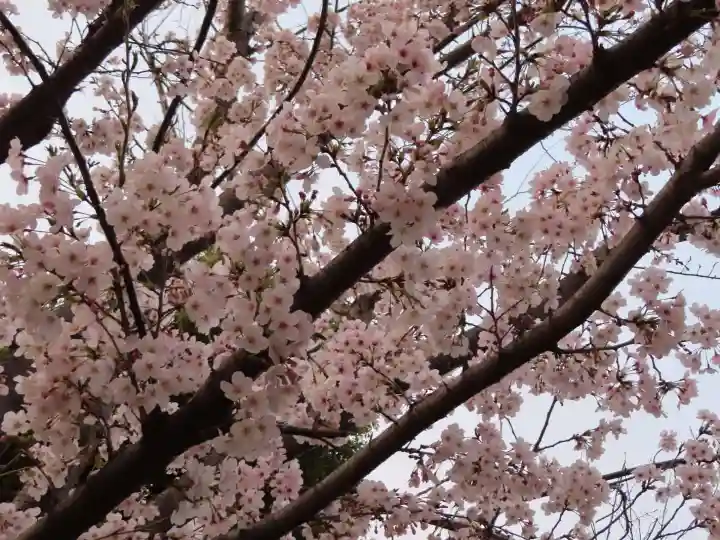 三輪神社の自然