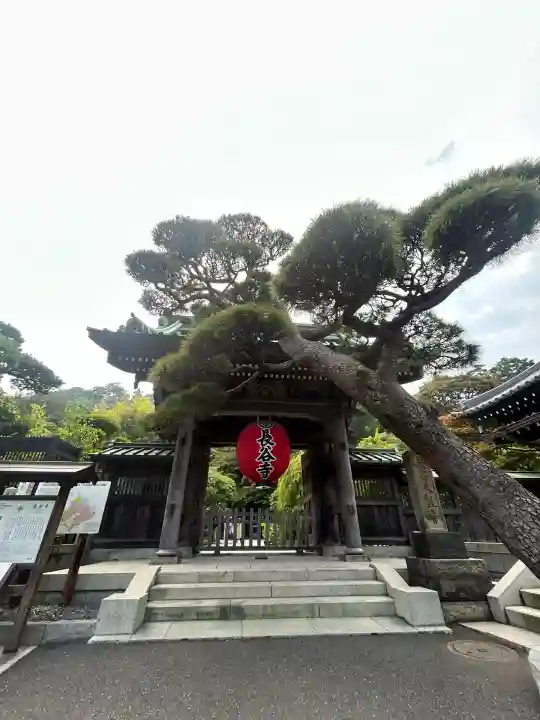 長谷寺の山門・神門
