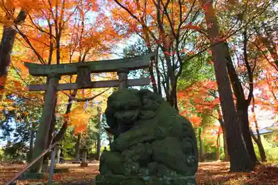 國祖神社の狛犬