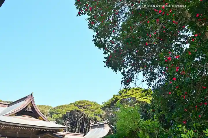酒列磯前神社(茨城県)