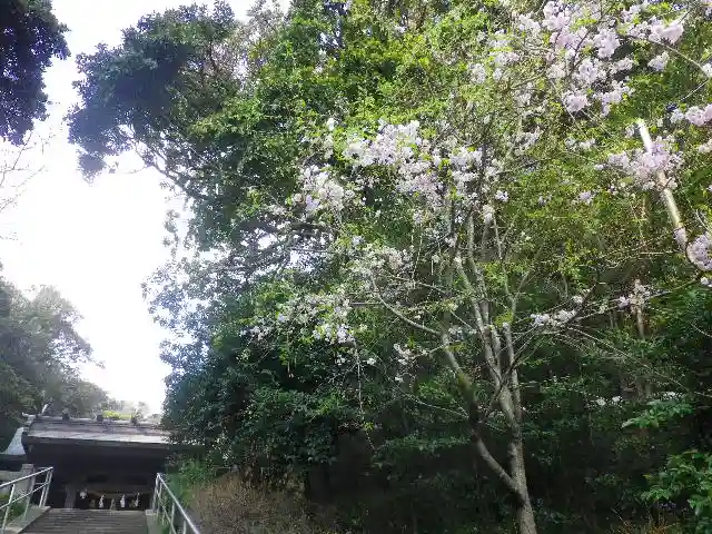 甘縄神明神社(甘縄神明宮)のその他建物