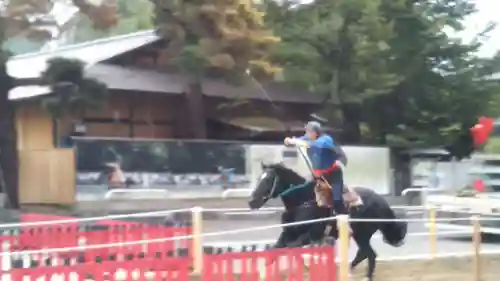 盛岡八幡宮のお祭り