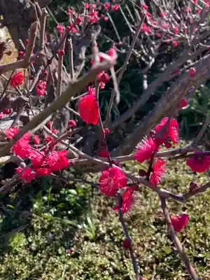 極楽寺(神奈川県)
