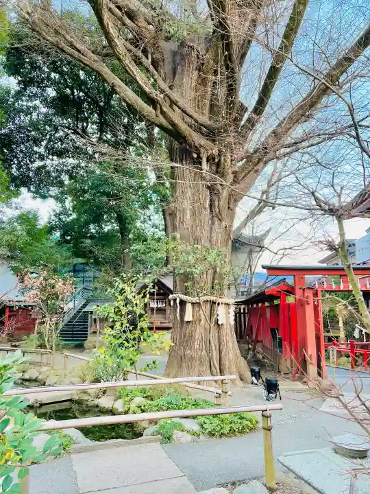 秩父神社の{uncategorized: "未分類", other: "その他", undefined: "問題あり", building: "その他建物", grave: "お墓", sacred_gate: "鳥居", guardian: "狛犬", statue: "像", buddha: "仏像", history: "歴史", nature: "自然", garden: "庭園", animal: "動物", pagoda: "塔", temizu: "手水舎", mountain_gate: "山門・神門", sanctuary: "本殿・本堂", subordinate: "末社・摂社", art: "芸術", scenery: "景色", jizo: "地蔵", ema: "絵馬", goshuin: "御朱印", omikuji: "おみくじ", items: "授与品その他", amulet: "お守り", goshuincho: "御朱印帳", eats: "食事", festival: "お祭り", votive_dance: "神楽", shichigosan: "七五三参", wedding: "結婚式", experience: "体験その他", initially: "初詣", around: "周辺", anti_infection: "感染症対策"}