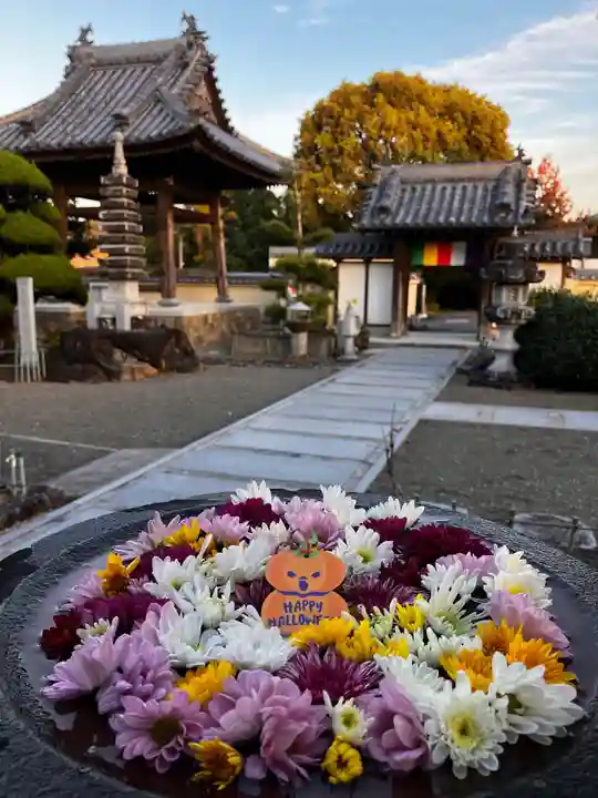 真言宗 善通寺派 薬王寺(香川県)