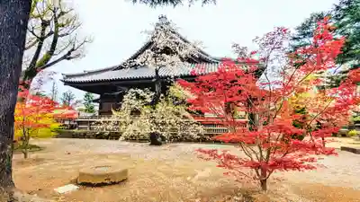 寛永寺(根本中堂)の本殿・本堂
