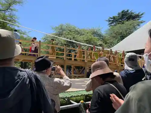 淨眞寺(東京都)