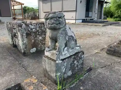 普門寺の狛犬