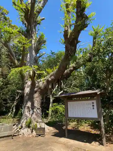 鎌数伊勢大神宮(千葉県)