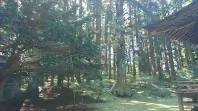 七崎神社(青森県)