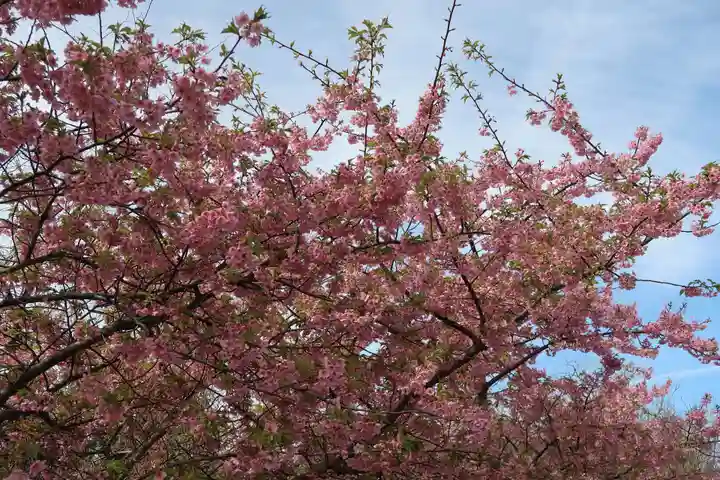 宝乗院(愛知県)