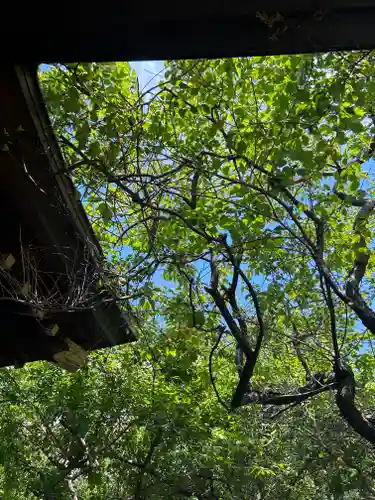 牛天神北野神社(東京都)