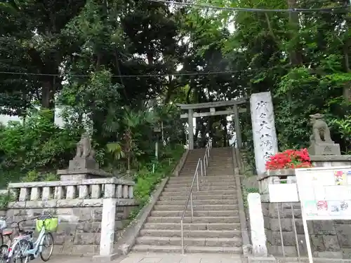 代々木八幡宮の狛犬