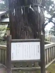 高倉神社の自然