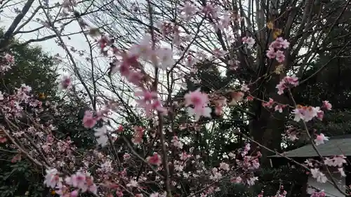 平野神社(京都府)
