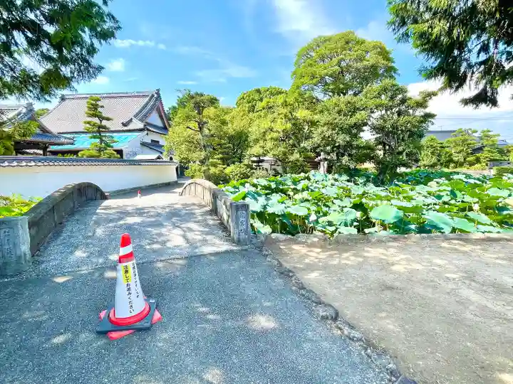 雲龍山 本證寺(愛知県)