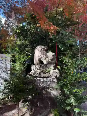 渋川八幡宮(群馬県)