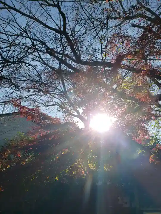 寶泉寺(宝泉寺)(東京都)