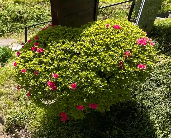 国宝 大法寺(長野県)