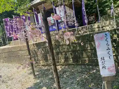下野 星宮神社(栃木県)