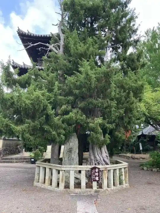 道成寺(和歌山県)