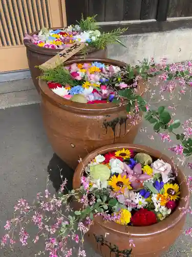 多賀神社の手水