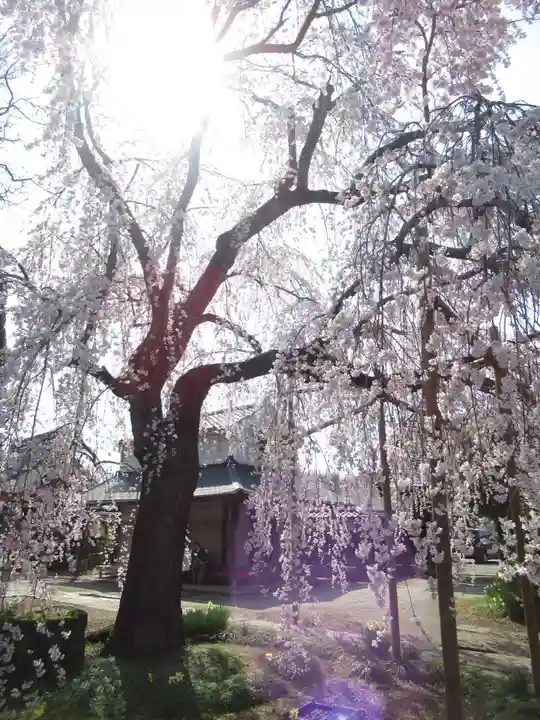 慶龍寺(茨城県)